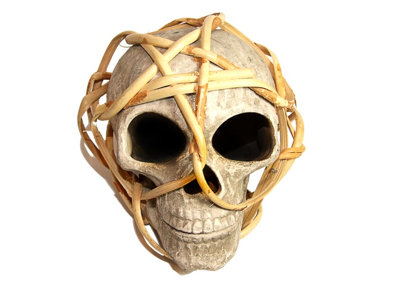 mortal, 2K, indoors, mystical, cut out, human skeleton, single object, pattern, weird, white background, skull, bone, shape, rolled up, head, still life