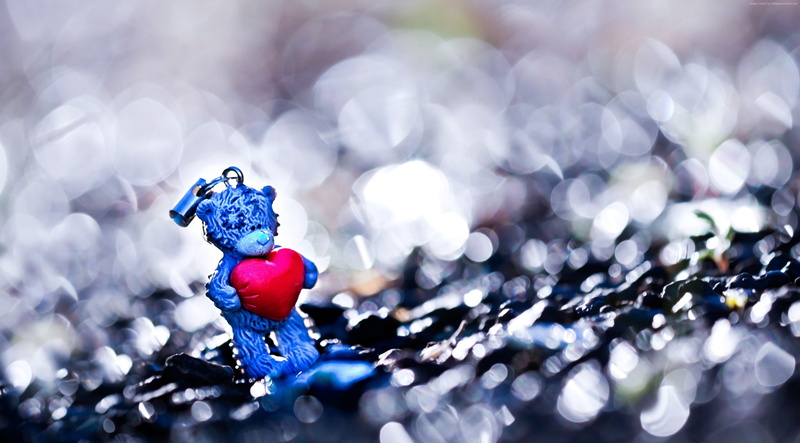 holiday, February 14, gift, bokeh, 4K, Bear, Valentines Day, love, heart