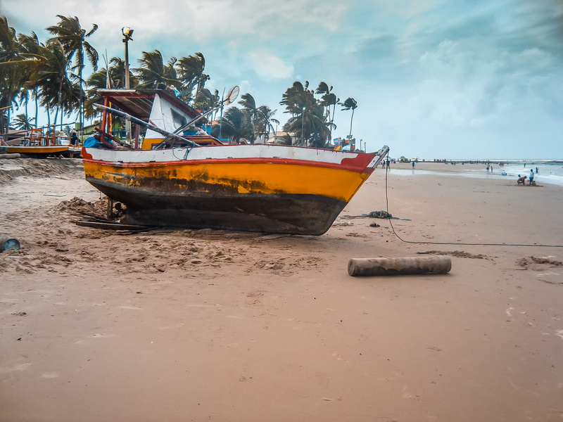 sand, sea, beach, day, scenics - nature, horizon over water, water, outdoors, ship, nautical vessel, sky, tree, low tide, boat, orange, beack, 2K, mode of transportation