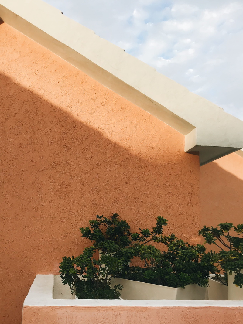 shade, day, nature, plants, 2K, built structure, cancun, mexico, no people, tree, dusk, potted plant, outdoors, hotel, shadow, plant, sunlight, beack