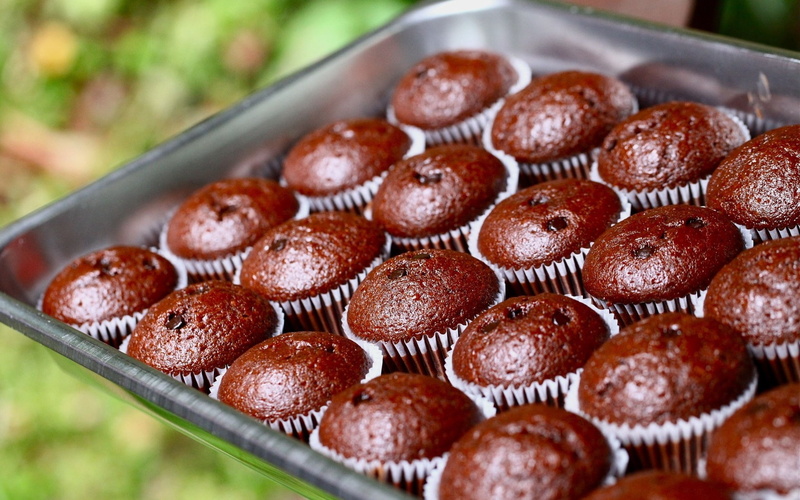 fruitcakes, chocolate, batch, form, 720P