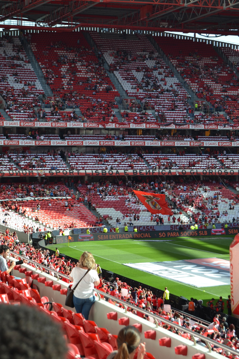 team sport, large group of people, portugal, stadium of light, crowd, sport, men, match - sport, stadium, athlete, spectator, sports event, group of people