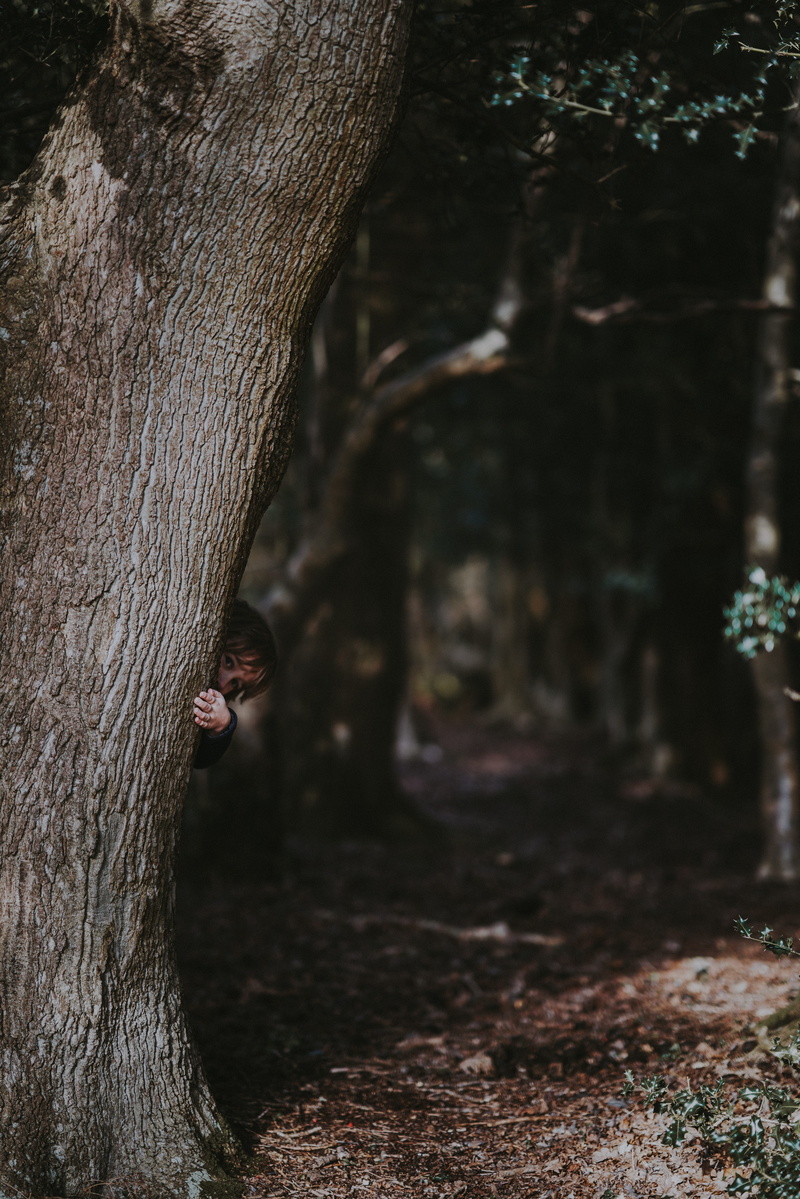 close-up, tree trunk, one animal, daytime, toddler, nature, animal, land, standing, 8K, no people, focus on foreground, hiding, peekaboo, behind, growth