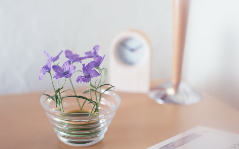 glass - material, plant, 1080P, petaled, gentle, indoors, on the table, flowers, beauty in nature, fragility, flowering plant, macro, close-up, alarm clock