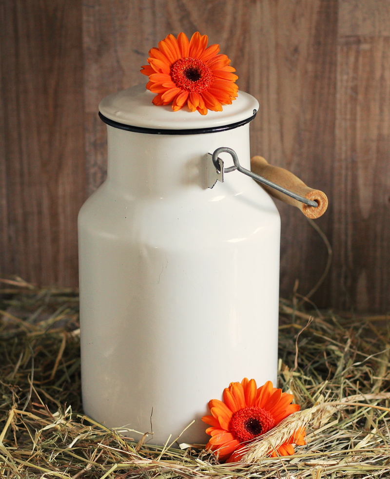 still life, close-up, pitcher - jug, food and drink, ceramic, orange gerbera, container, straw, food, orange, flower, vulnerability, flowers, pollen, white