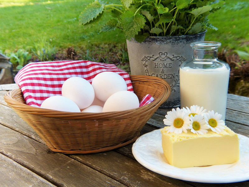 day, outdoors, milk, flowering plant, vulnerability, nature, plate, container, 4K, herbs, garden, calcium, leaves, healthy eating, plant, bowl, basket
