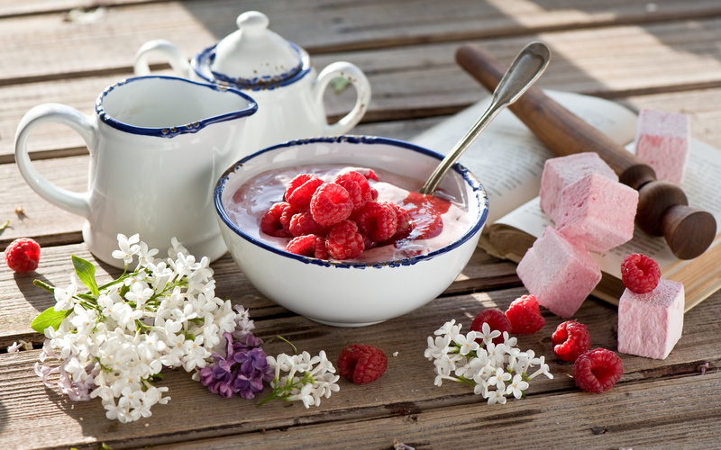 flowering plant, close-up, healthy Eating, refreshment, yogurt, fruit, healthy Lifestyle, gourmet, red, dessert, oatmeal, milk, nature, snack, granola