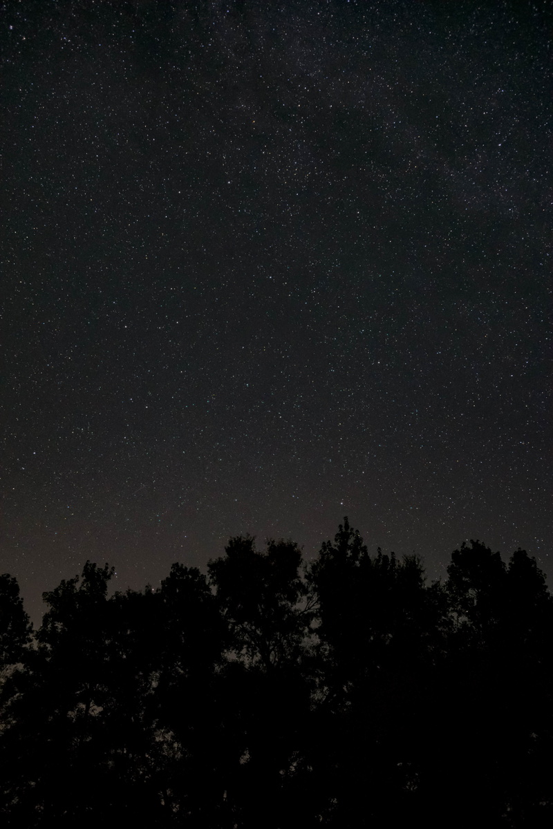 photo, star field, scenics - nature, worm, stars, idyllic, night, galaxy, bonding, outdoors, tranquil scene, eye, no people, dark, tree, low angle view