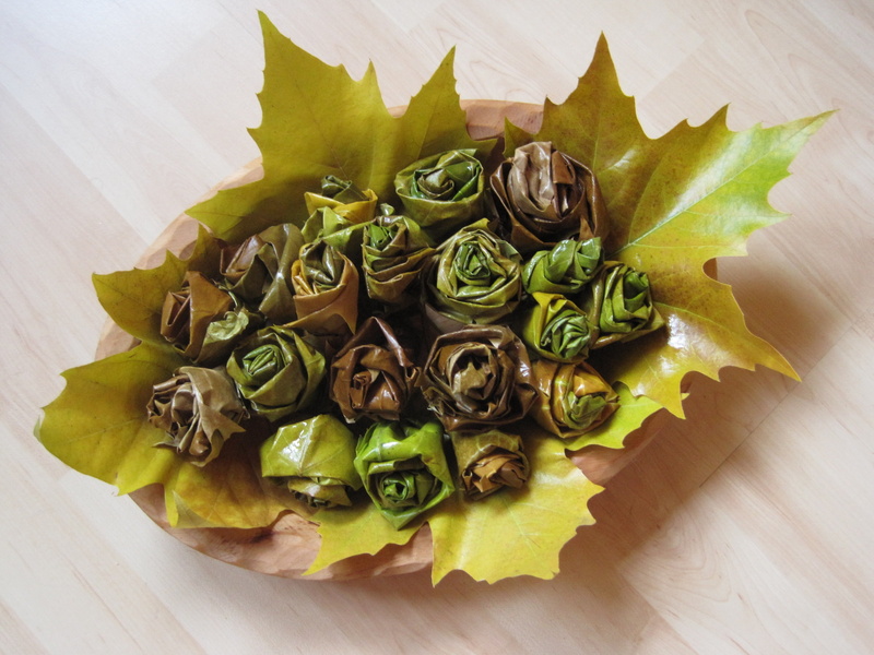 vegetable, autumn colours, food, leaf, high angle view, leaves, foliage, freshness, close-up, table, rolled, food and drink, wood - material, asian food