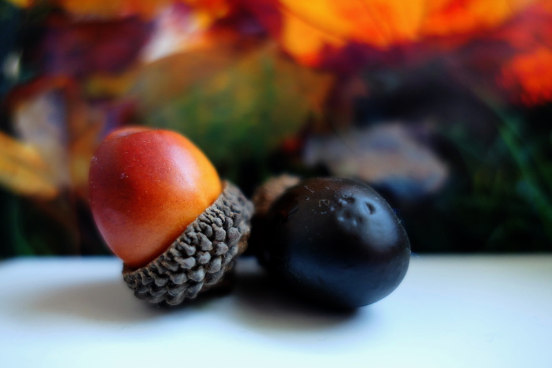 freshness, wellbeing, fruit, herbstdeko, 5K, ripe, close-up, autumn motives, deco, healthy eating, food, focus on foreground, lychee, apple - fruit, leaf