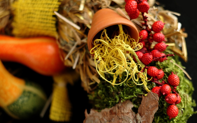 hand, selective focus, fruit, autumn, decorative, choice, autumn wreath, human body part, red, healthy eating, bouquets, floral arrangement, autumn flowers