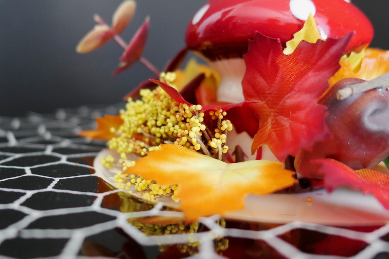 autumn vegetables, autumn decoration, flowering plant, decorative pumpkins, decoration, orange, food, deco, herbstdeko, fragility, petal, pumpkins, vulnerability