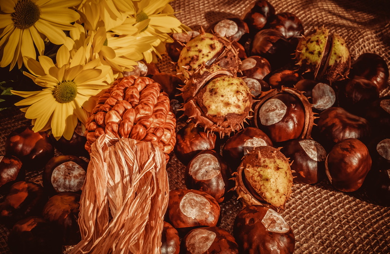 still life, autumn decoration, large group of objects, food and drink, nut - food, table, autumn mood, flowering plant, fragility, herbstdeko, high angle view