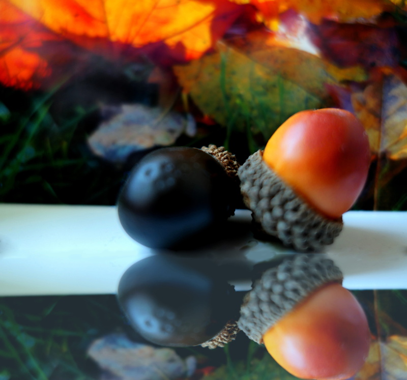 toy, still life, focus on foreground, decorative squashes, sphere, pumpkins, 5K, orange, plant, close-up, pebble, fruit, table, selective focus, stone - object