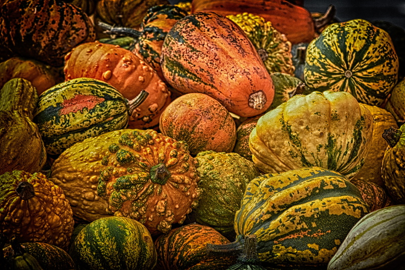 variation, orange, healthy eating, freshness, pumpkin, colorful, pumpkins, 5K, yellow, wellbeing, food, choice, decoration, organic, autumn vegetables