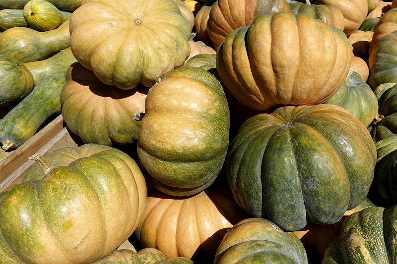 decoration, large group of objects, food, no people, wellbeing, still life, retail, gourd, market, ripe, thanksgiving, sale, harvest, for sale, healthy eating