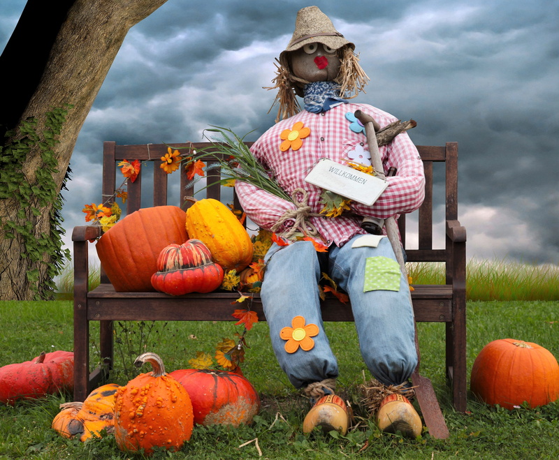 sky, day, autumn decoration, outdoors, autumn, 4K, decorative squashes, grass, thanksgiving, holiday - event, no people, doll, pumpkins, autumn motive