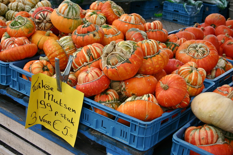 orange color, 2K, vegetable, ripe, pumpkins, autumn, wellbeing, for sale, netherlands, fruit, food and drink, nature, healthy eating, market stall, orange