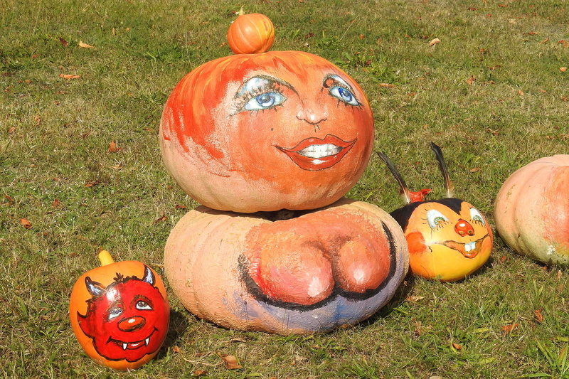 art and craft, autumn, outdoors, anthropomorphic, field, land, face, no people, 4K, male likeness, jack o lantern, anthropomorphic face, pumpkins, halloween
