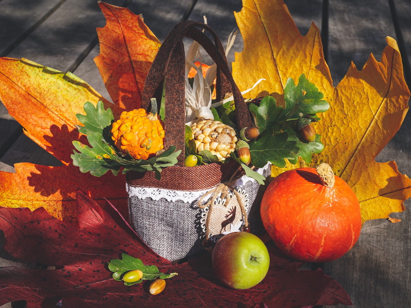 plant part, high angle view, pumpkins, autumn vegetables, color, autumn decoration, healthy eating, orange color, autumn, leaves, thanksgiving, wood - material