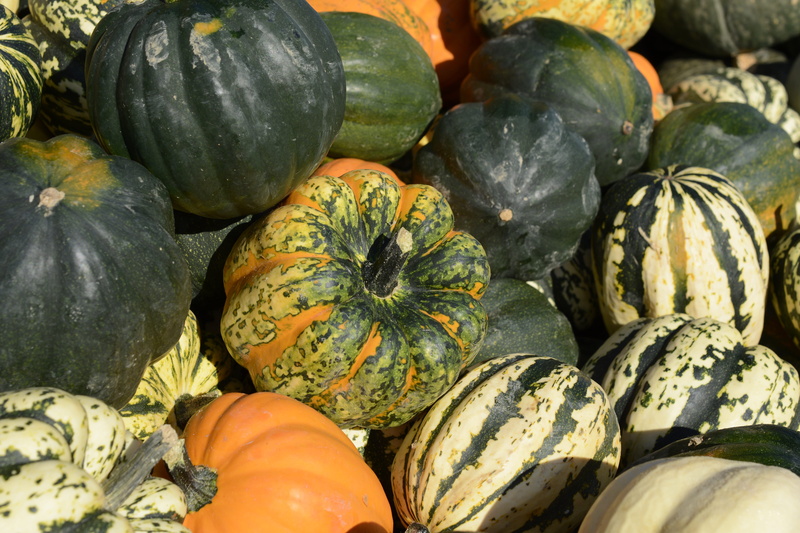 abundance, healthy eating, vegetable, large group of objects, food, retail, food and drink, ripe, autumn, gourd, high angle view, autumn motives, freshness