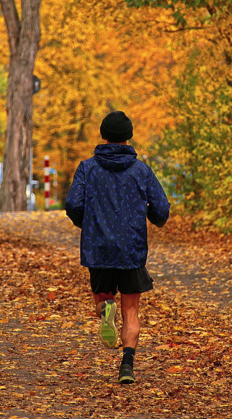 movement, clothing, walking, land, outdoors, plant, man, 4K, full length, warm clothing, morning, rear view, change, leisure activity, indian summer, plant part