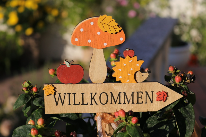 no people, text, outdoors, capital letter, focus on foreground, celebration, 5K, day, information sign, close-up, sign, food, plant, food and drink, autumn decoration