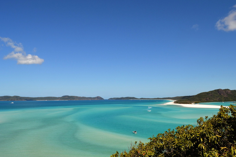 sand, tree, lagoon, outdoors, cloud - sky, summer, whit sundays, tranquility, tranquil scene, Australia, vacations, island, blue, idyllic, nature, coastline
