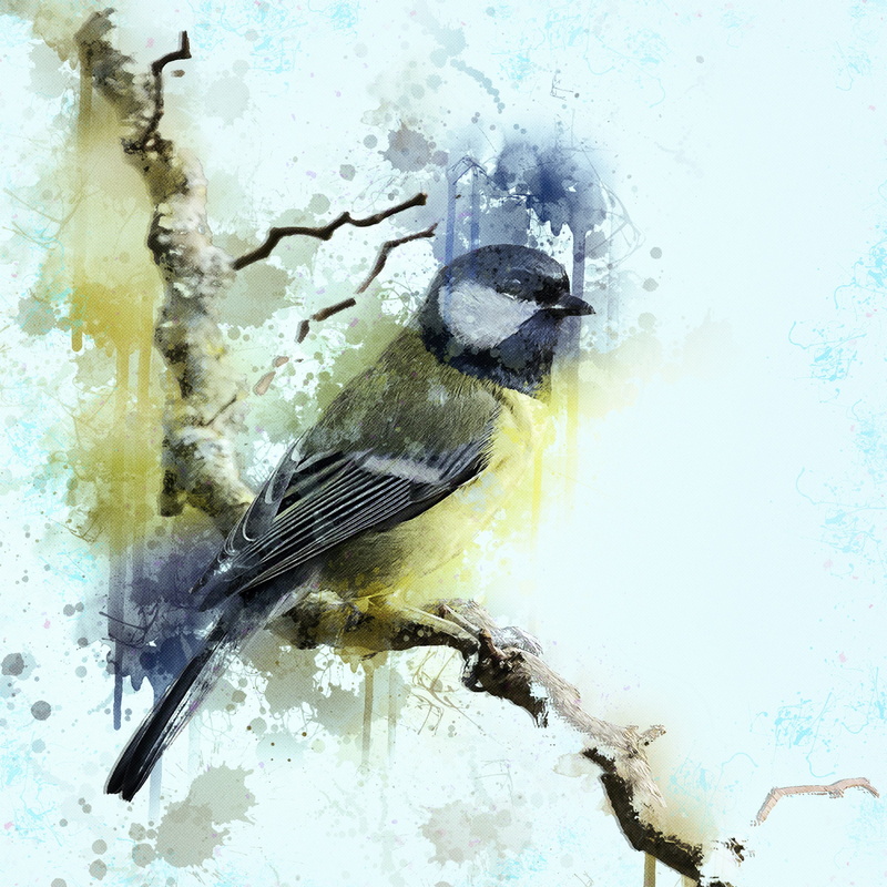 high angle view, animal wildlife, gray, animal themes, outdoors, tit, water, vertebrate, great tit, wildlife, ornithology, photo art, no people, dirt, painting