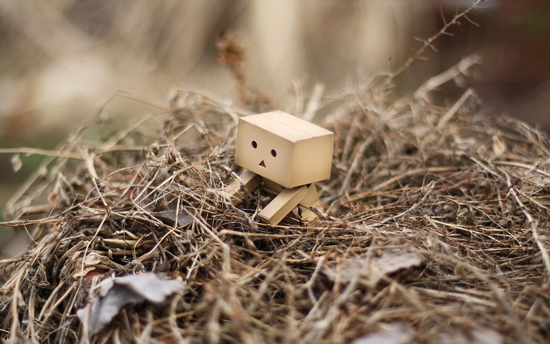 selective focus, animal Nest, toy, close-up, twig, mansion, creativity, straw, house, wood - Material, curiosity, grass, dry, cardboard, plant, danbo, small