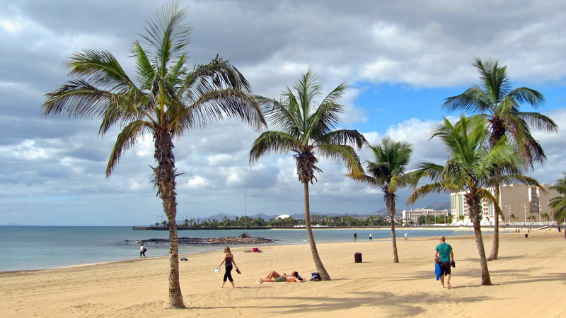nature, Palm Trees, Sea, women, horizon, coconut palm tree, group of people, people, land, palm, 2K, travel Locations, recreational Pursuit, beaches, holiday