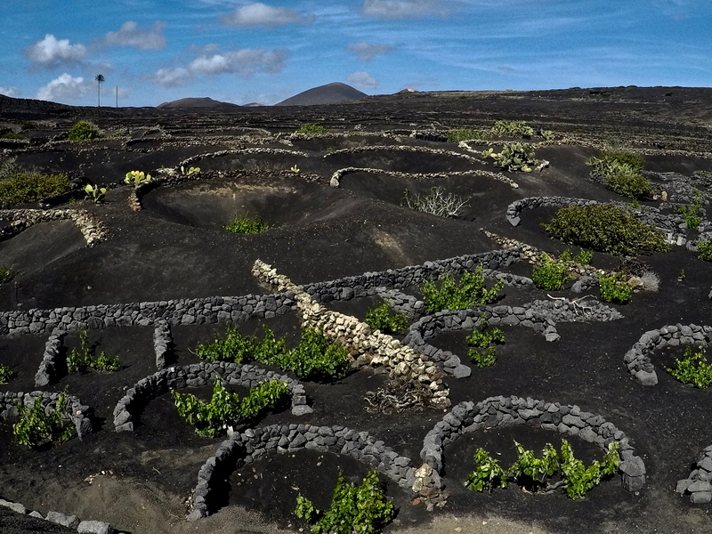no people, vineyard, landscape, tranquility, high angle view, travel destinations, volcano, panoramic, sky, aerial view, scenery, soil, neighborhood, lanzarote