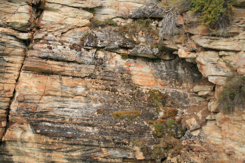 textured effect, layered, rock, nature, trunk, tree, no people, rough, day, plant bark, 4K, backgrounds, rock face, natural pattern, bark, outdoors, layers