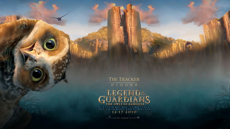 1080P, guardians, digger, clouds, hoole, mountain, birds, ga, animals