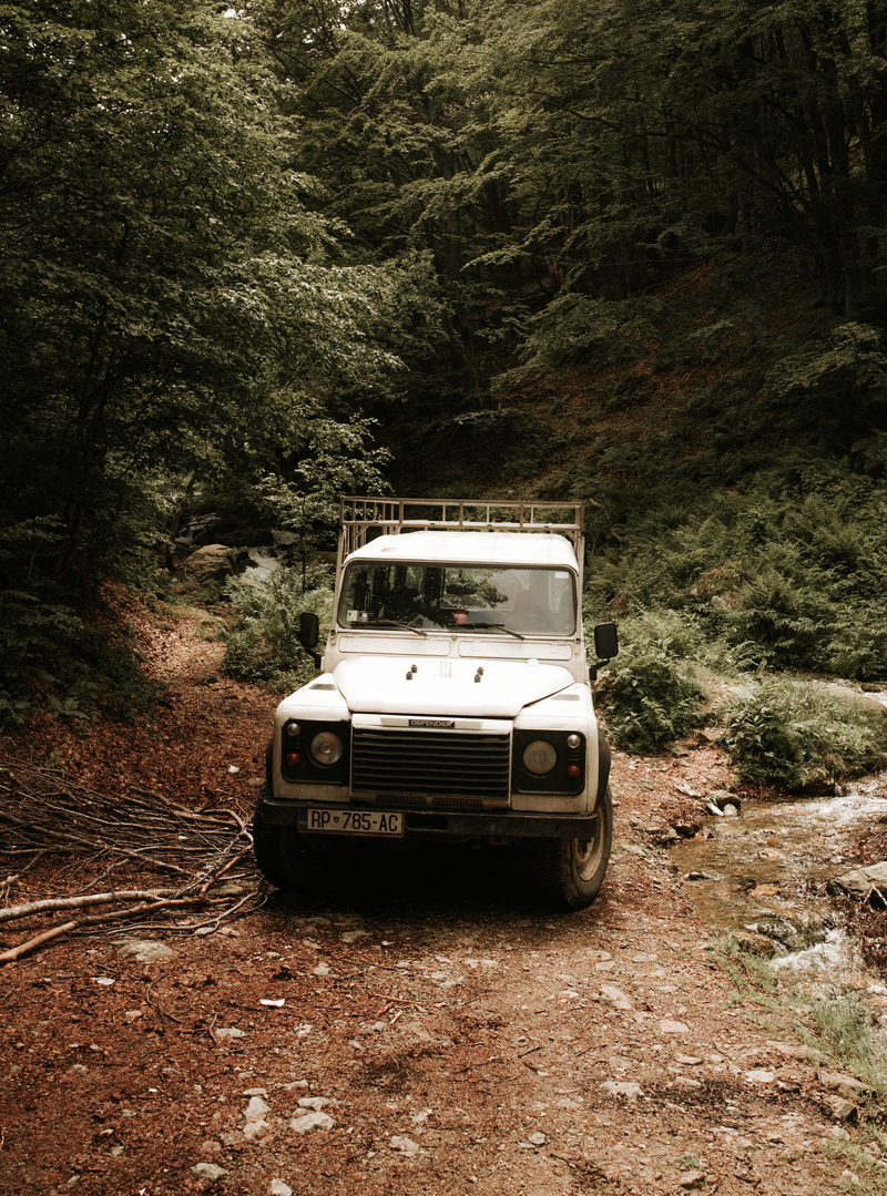truck, outdoors, wheel, road, stationary, leisure activities, vehicle, land vehicle, dirt road, bush, plant, spoke, motor vehicle, nature, vegetation, daytime