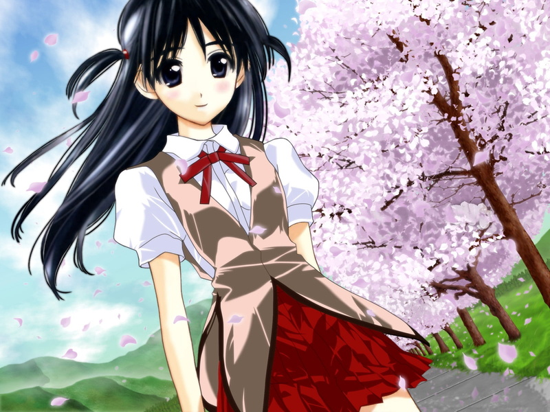 standing, nature, 720P, cherry blossom, hairstyle, plant, women, tenma, lifestyles, young adult, tree, pink color, flower, rumble, outdoors, real people