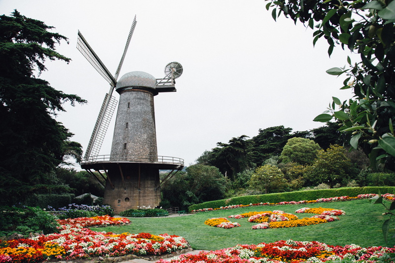 park - man made space, gray, flower, windmill, trees, sky, growth, park, daytime, building exterior, blossom, built structure, 5K, tower, outdoors, flora