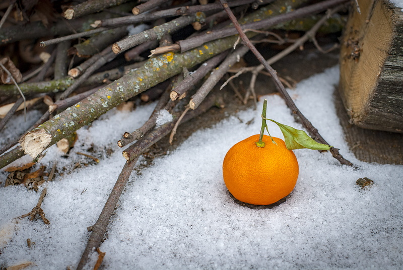 white, healthy eating, ripe, wellbeing, leaves, tropical, no people, plant, season, first snow, 4K, winter, tangerine, tree, food, cold temperature, food and drink