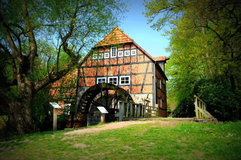 stuckenborstel, built Structure, sky, no people, Mill Wheel, forest, fachwerkhaus, tree, land, architecture And Buildings, growth, house, Waterwheel, tranquility