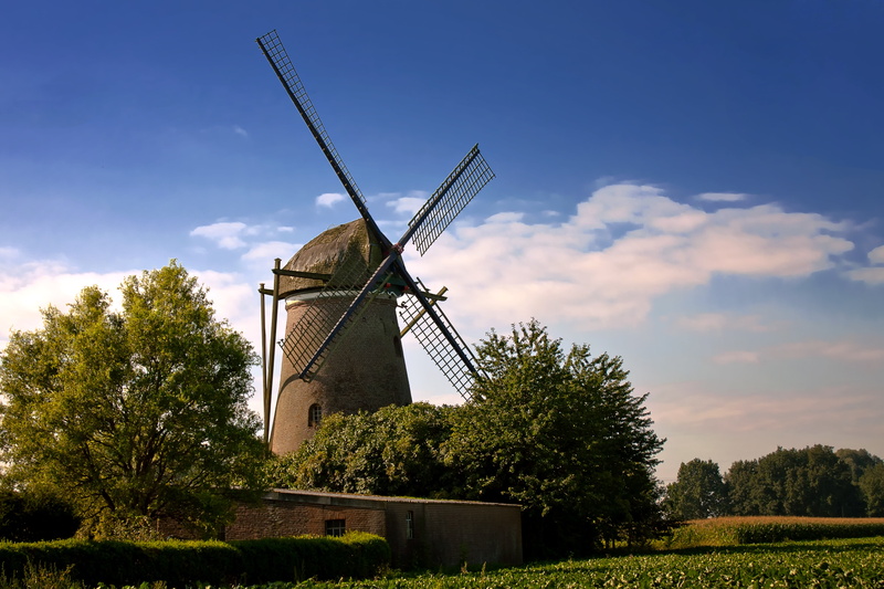 environment, fuel and power generation, bread, müller, land, history, rural Scene, field, no people, nature, outdoors, wind turbine, cloud - sky, turbine