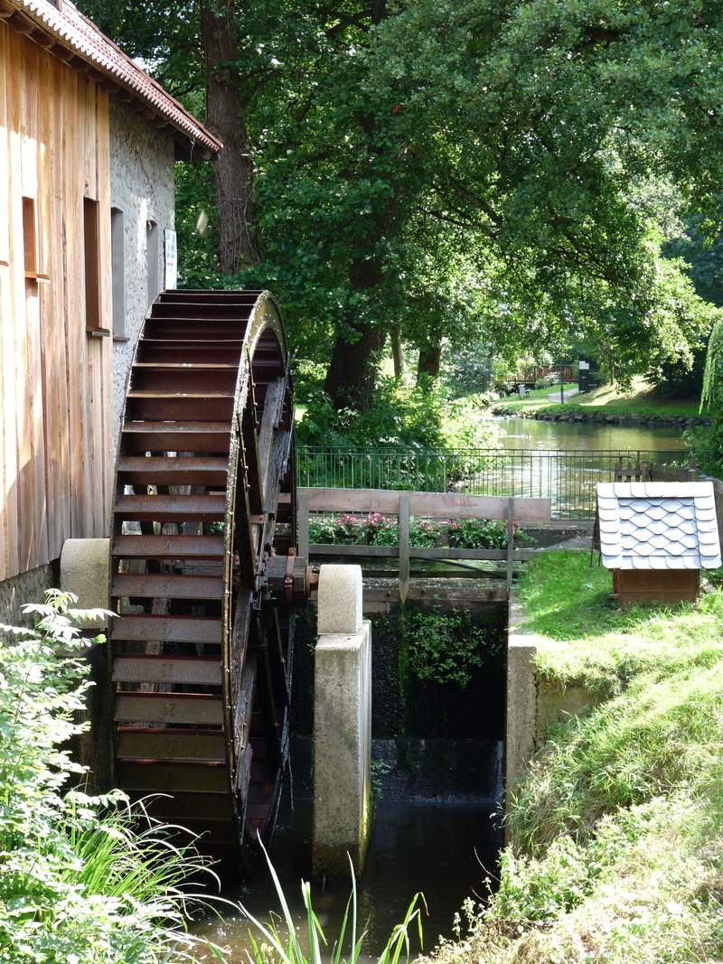 mill, Mill, building exterior, grind, no people, growth, müller, built structure, 2K, green color, water wheel, Waterwheel, grass, front or back yard