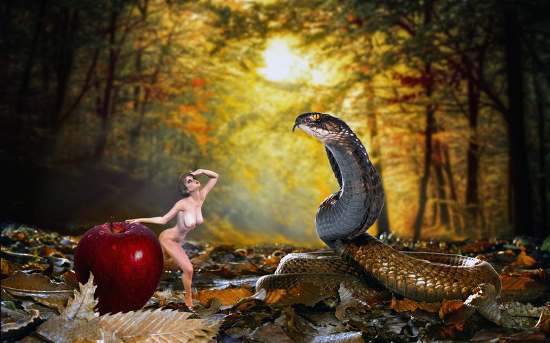 woodland, nature, fruit, plant, land, animal wildlife, wood, food, beauty in nature, forest, red, eve, bizarre, people, outdoor, outdoors, woman, plant part