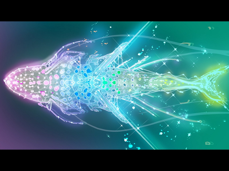 data, glowing, computer network, communication, futuristic, connection, no people, fiber optic, pattern, backgrounds, abstract, 1080P, science, black background