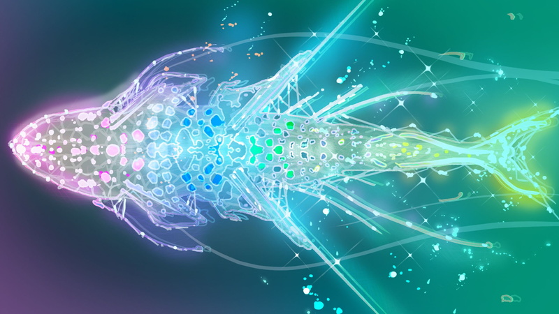 shooter, psychedelic, child of eden, fantasy, child, abstract, eden, 2K, music, action