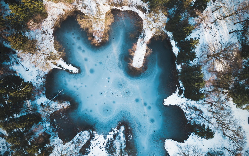 4K, frozen, growth, day, winger, snow, plant, no people, tranquility, covering, water, tree, forest, scenics - nature, cold temperature, winter, non-urban scene