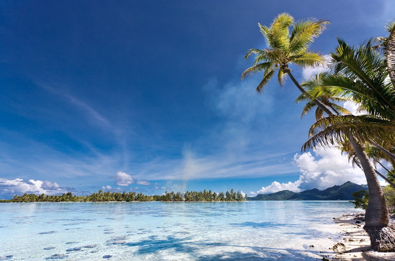 palm trees, nature, French Polynesia, tropical, island, 1080P, summer, mountains, landscape, sea, Eden, beach