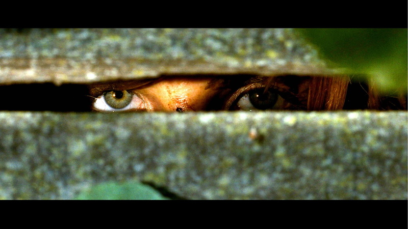 1080P, eden lake, horror, eden, dark, thriller, lake