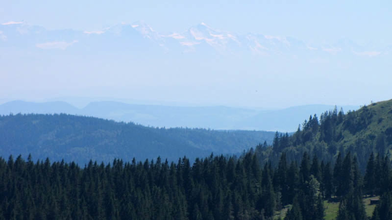 Black Forest, no people, Firs, forest, snow, mountain range, mountains, alpenblick, horizon, tranquility, tree, tranquil scene, 2K, woodland, view, nature