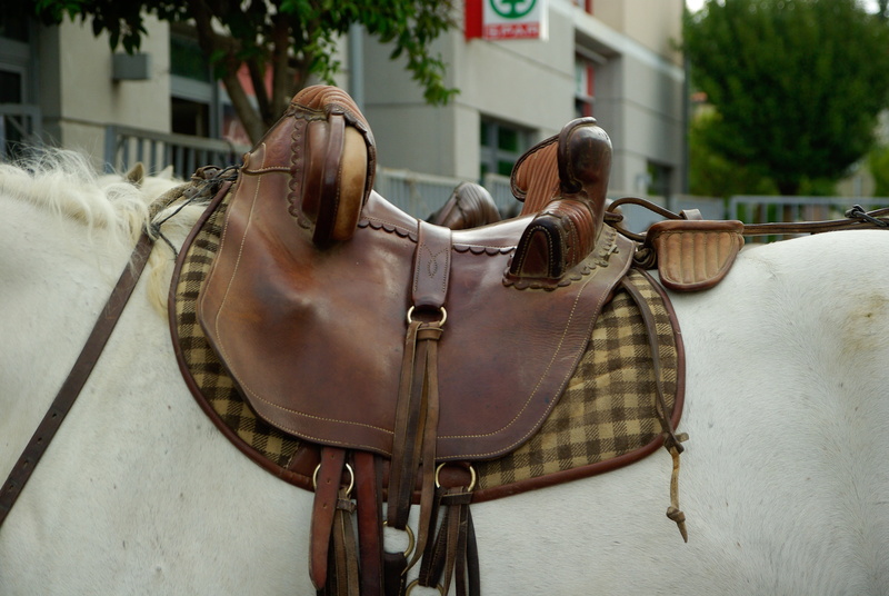 working animal, vertebrate, animal representation, pets, mammal, outdoors, leather, animal wildlife, herbivorous, building exterior, built structure, domestic