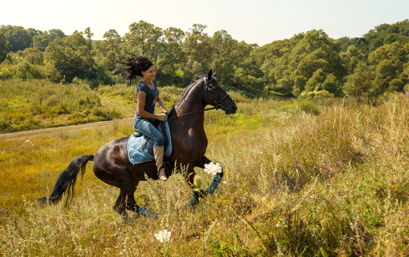 brunette, jeans, saddle, 4K, glade, summer, horse, girl, rider, walk, trees, boots, the sun, Mike, nature, grass